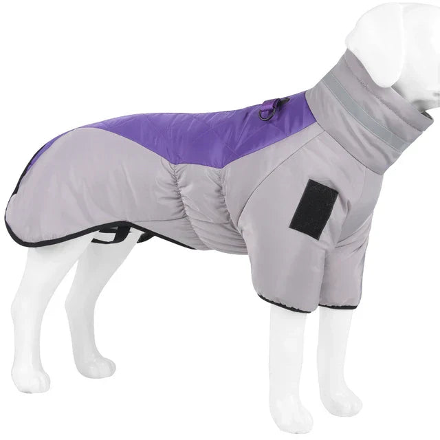 Gilet Chien Doux et Réglable pour Chien