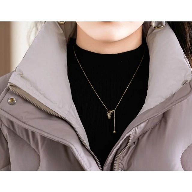 Parka Hiver Femme à Manches Longues