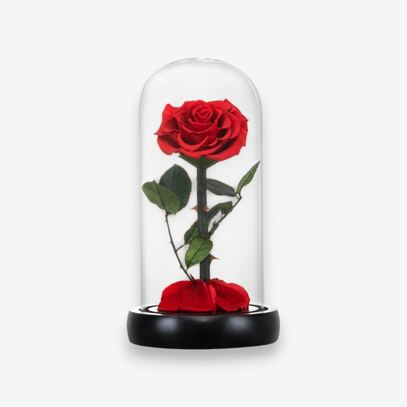 Fleur Artificielle sous Cloche en Verre Décoratif