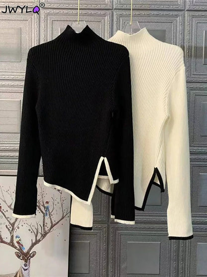 Pull à Col Roulé Femme Classique