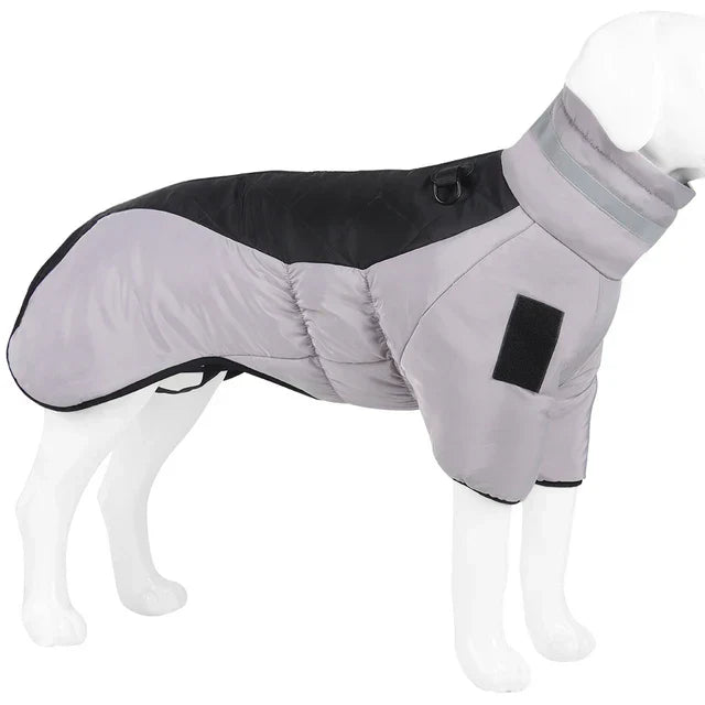 Gilet Chien Doux et Réglable pour Chien