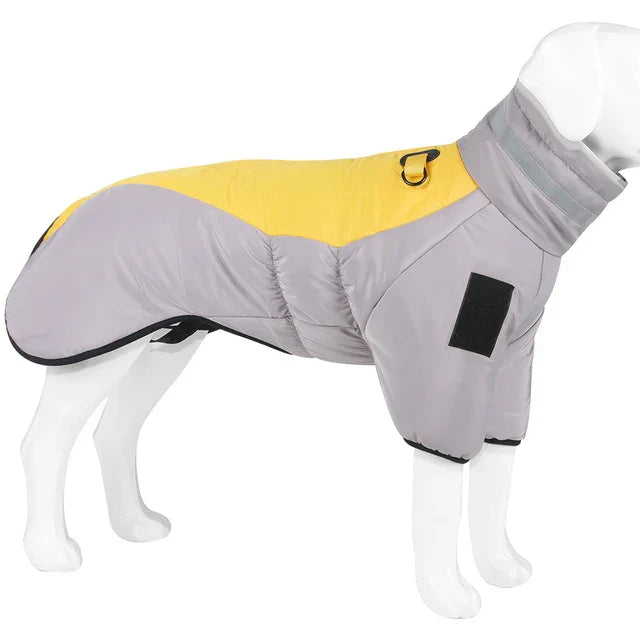 Gilet Chien Doux et Réglable pour Chien