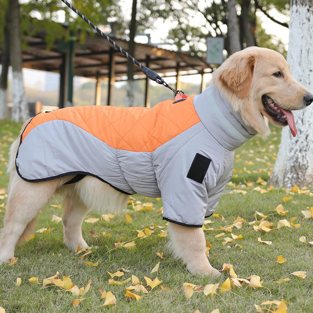 Gilet Chien Doux et Réglable pour Chien - PanierRoyale