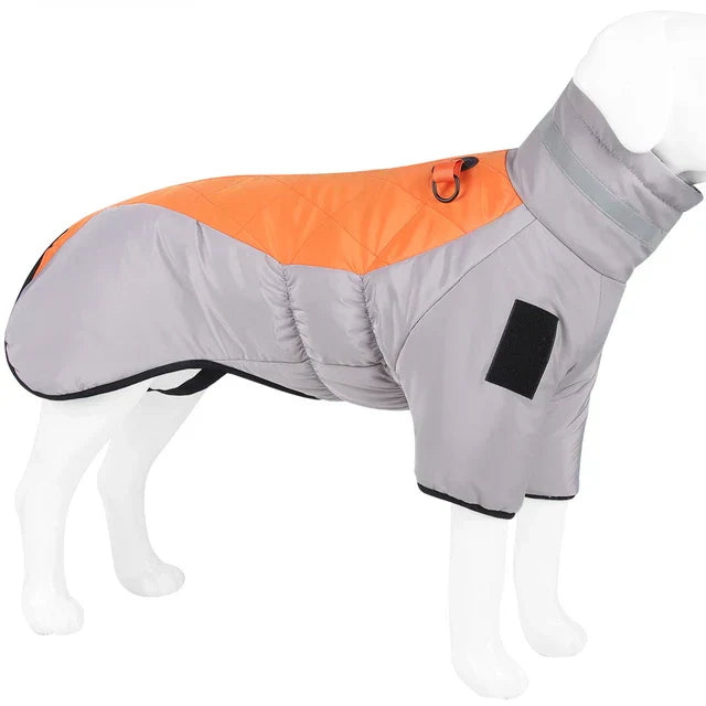 Gilet Chien Doux et Réglable pour Chien
