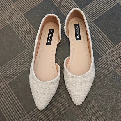Chaussures Femmes à Bout Pointu et Talons Hauts