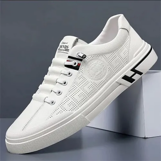 Chaussures Homme Classiques Confort et Respirantes - PanierRoyale