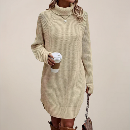 Robe Col Roulé Femme Manches Longues