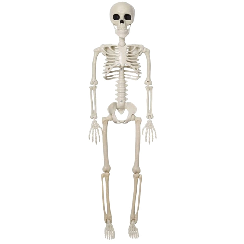 Décoration Squelette Géant Halloween 170cm Effrayant - PanierRoyale
