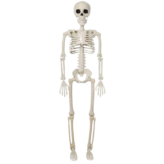 Décoration Squelette Géant Halloween 170cm Effrayant - PanierRoyale