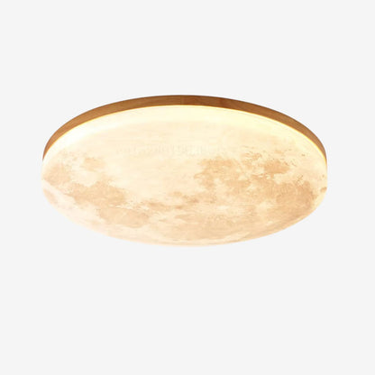 Plafonnier LED Moderne Réglable et Économique - PanierRoyale