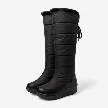 Bottes Hauts Talons Fourrure Synthétique Chaudes