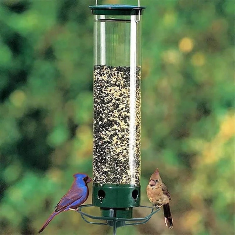 Mangeoire Oiseaux Solaire Écureuil-Resistante - PanierRoyale