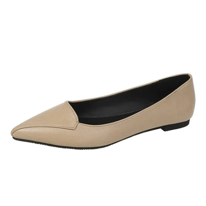 Chaussures Plates Femmes Élégantes à Bout Pointu