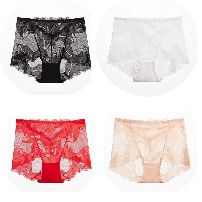 Culotte Femme Dentelle Douce Confort Léger Coupe Classique