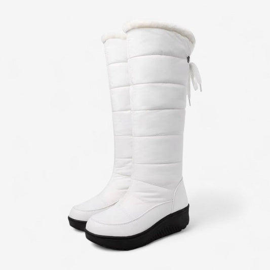 Bottes Hauts Talons Fourrure Synthétique Chaudes - PanierRoyale
