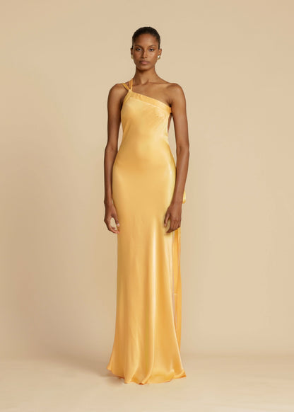 Robe de Soirée Femme Élégante en Soie, Dos Nu et Col en Biais
