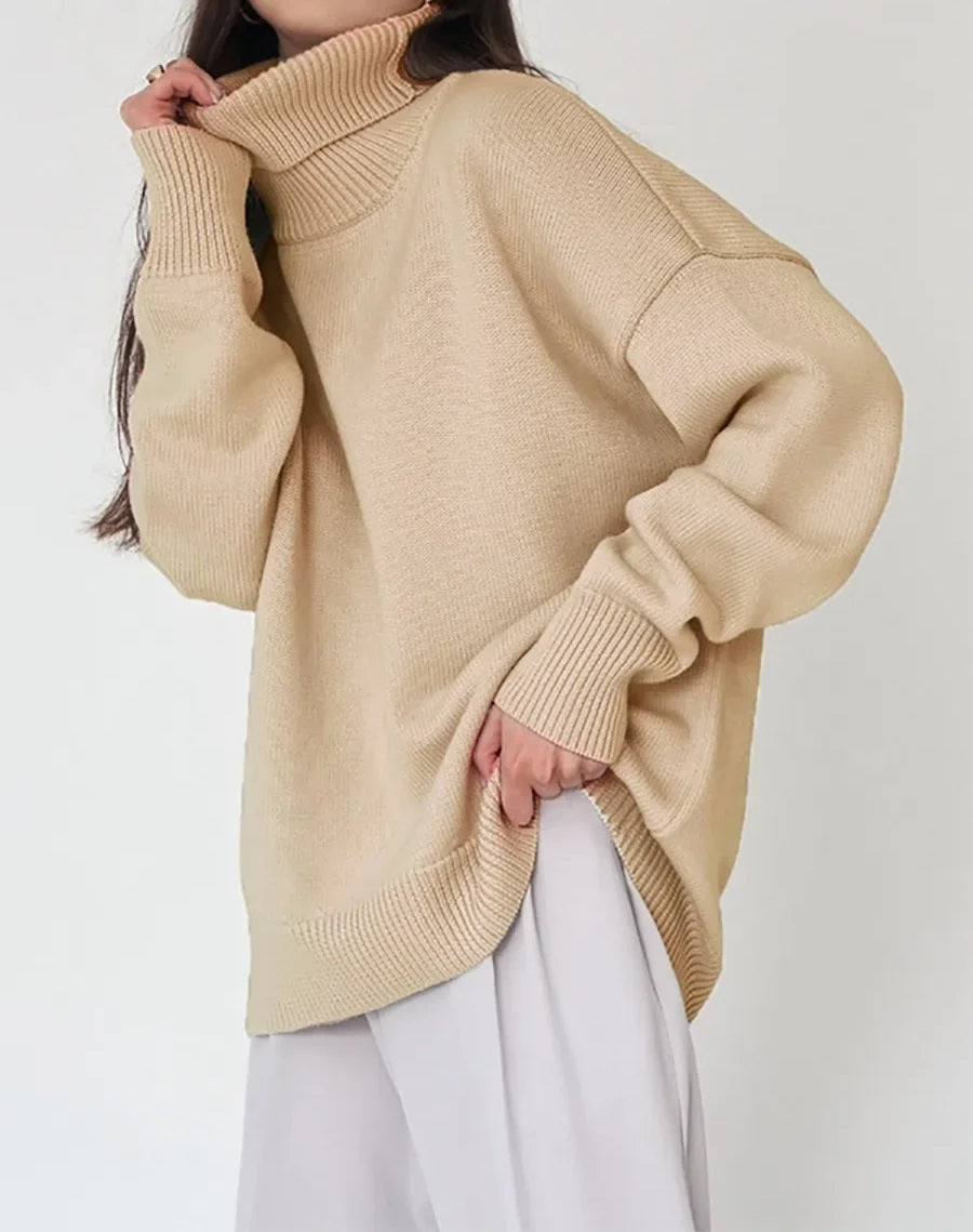 Pull Col Roulé Féminin