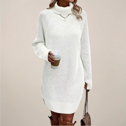 Robe Col Roulé Femme Manches Longues