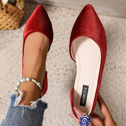 Chaussures Femmes à Bout Pointu et Talons Hauts