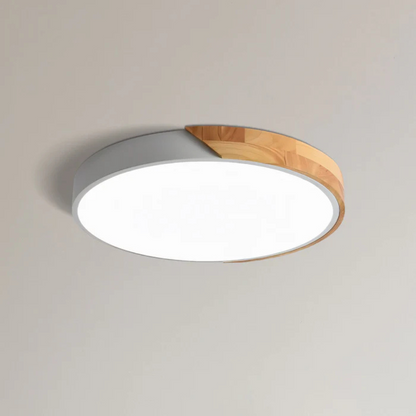 Lampe Suspendue LED Multicolore Design Intérieur