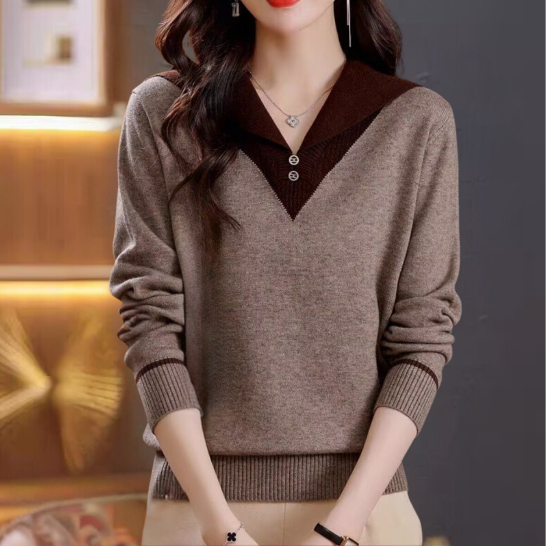 Pull Femme Chic à Encolure en V et Décoration Brodée