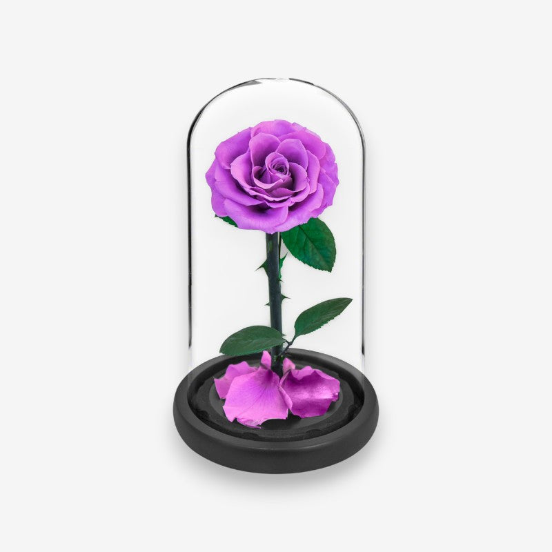 Fleur Artificielle sous Cloche en Verre Décoratif