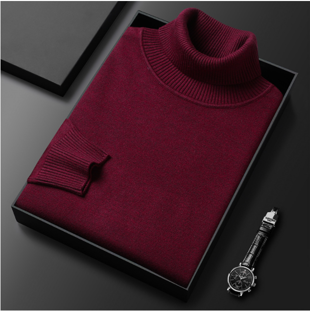 Pull Homme Col Roulé Décontracté Printemps
