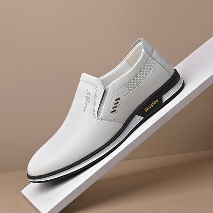 Chaussures Homme Cuir Classiques Multicouleurs