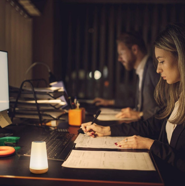 Halina™ – Lampe de Bureau LED Portable Dimmable avec Commandes Tactiles