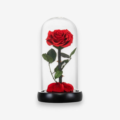 Fleur Artificielle sous Cloche en Verre Décoratif