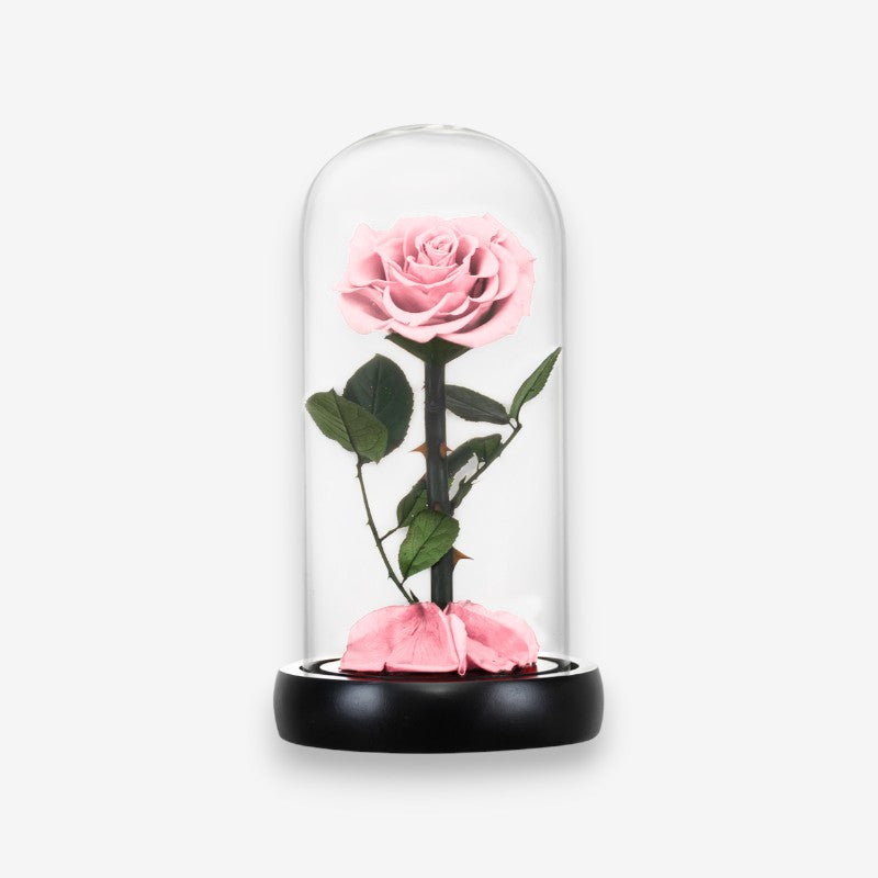 Fleur Artificielle sous Cloche en Verre Décoratif