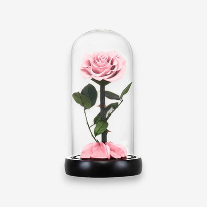 Fleur Artificielle sous Cloche en Verre Décoratif