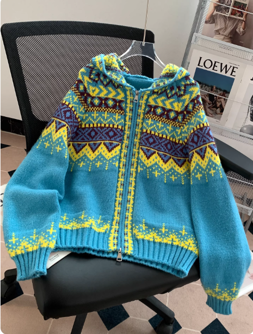 Pull à Capuche Femme Hiver Chic