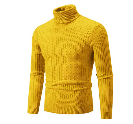 Pull Homme Col Roulé Chaud et Décontracté