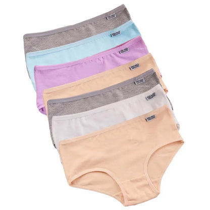 Lot de culottes Femme Coton Extensible Taille Moyenne Coupe