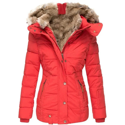 Veste Homme Isolante Coupe Ajustée Hiver