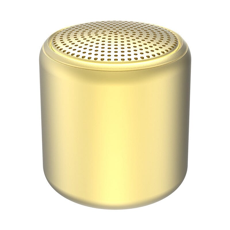 Enceinte Portable Bluetooth Waterproof