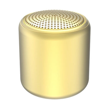 Enceinte Portable Bluetooth Waterproof