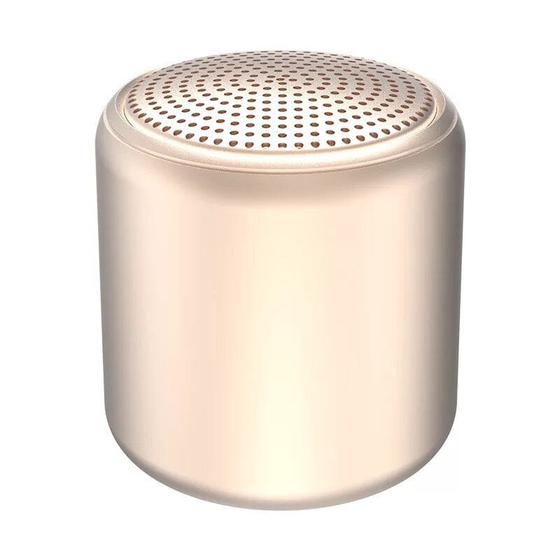 Enceinte Portable Bluetooth Waterproof