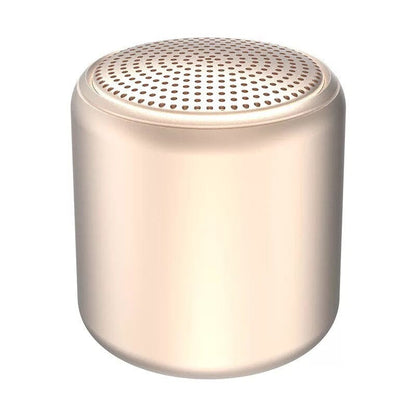 Enceinte Portable Bluetooth Waterproof