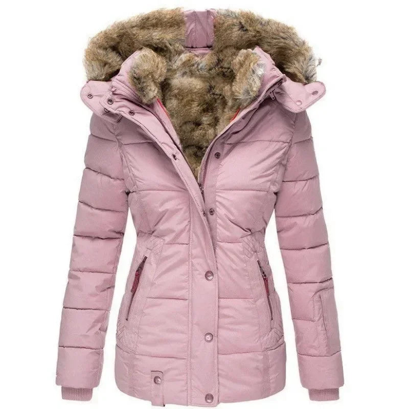 Veste Homme Isolante Coupe Ajustée Hiver