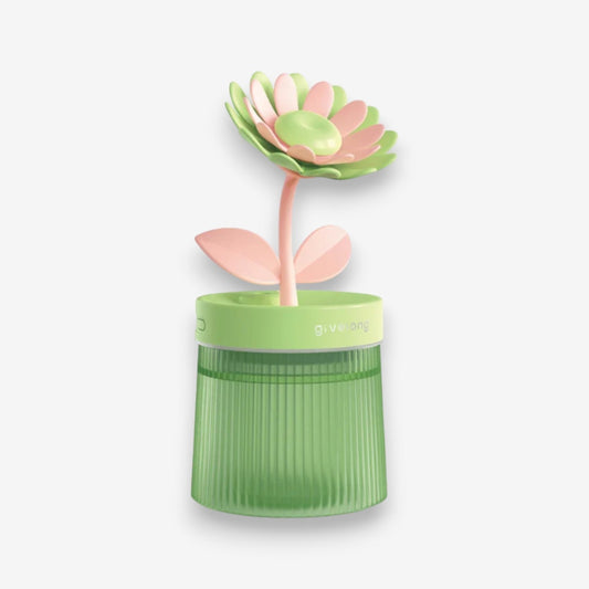 Humidificateur d'Air Compact avec Éclairage LED - PanierRoyale