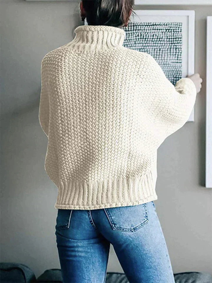 Pull Col Roulé Homme Maille Épaisse Coupe Confort