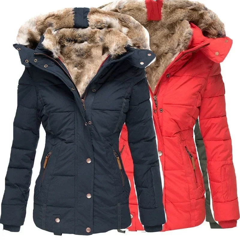 Veste Homme Isolante Coupe Ajustée Hiver