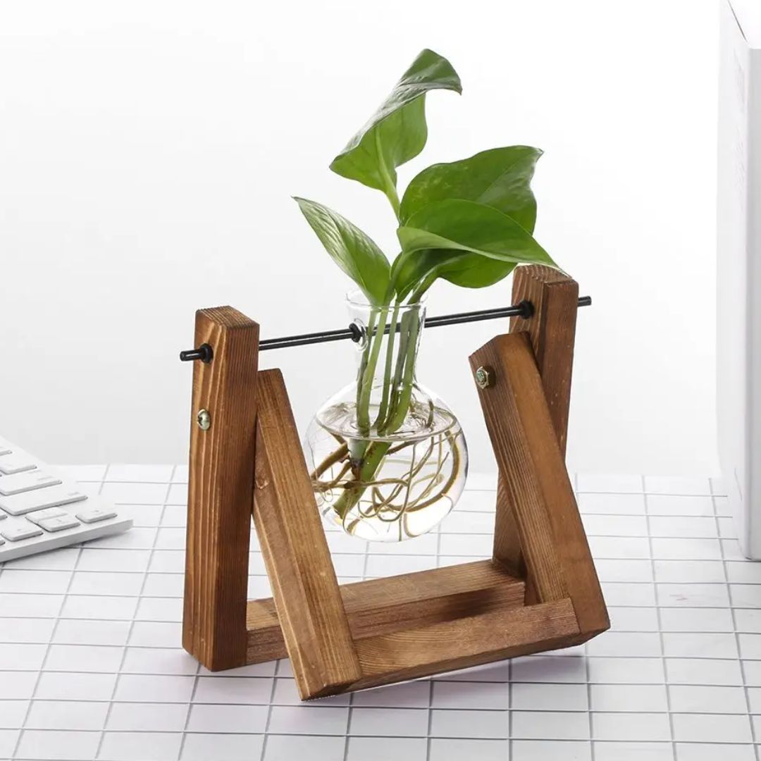 Jardinière Hydroponique Intérieur Élégante et Compacte - PanierRoyale