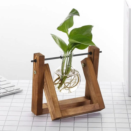 Jardinière Hydroponique Intérieur Élégante et Compacte - PanierRoyale