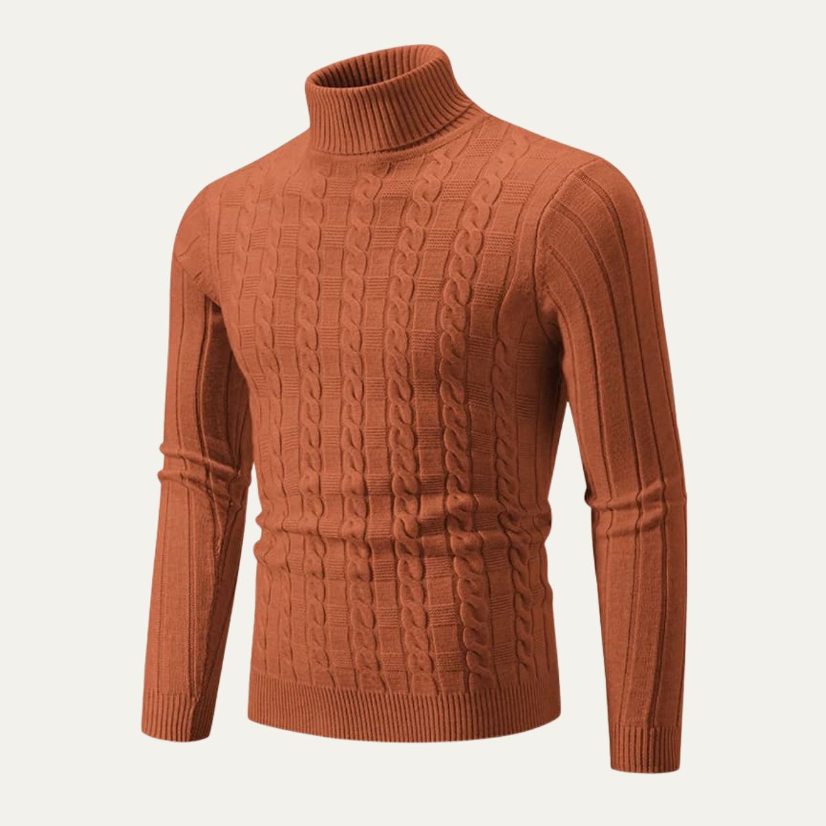 VogeLuxe | Pull col roulé ajusté en maille torsadée pour homme 2