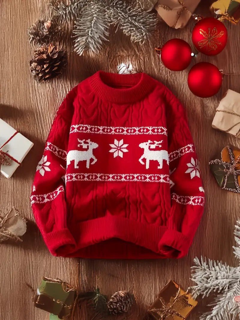 VogeLuxe | Pull de Noël en maille torsadée pour homme 5