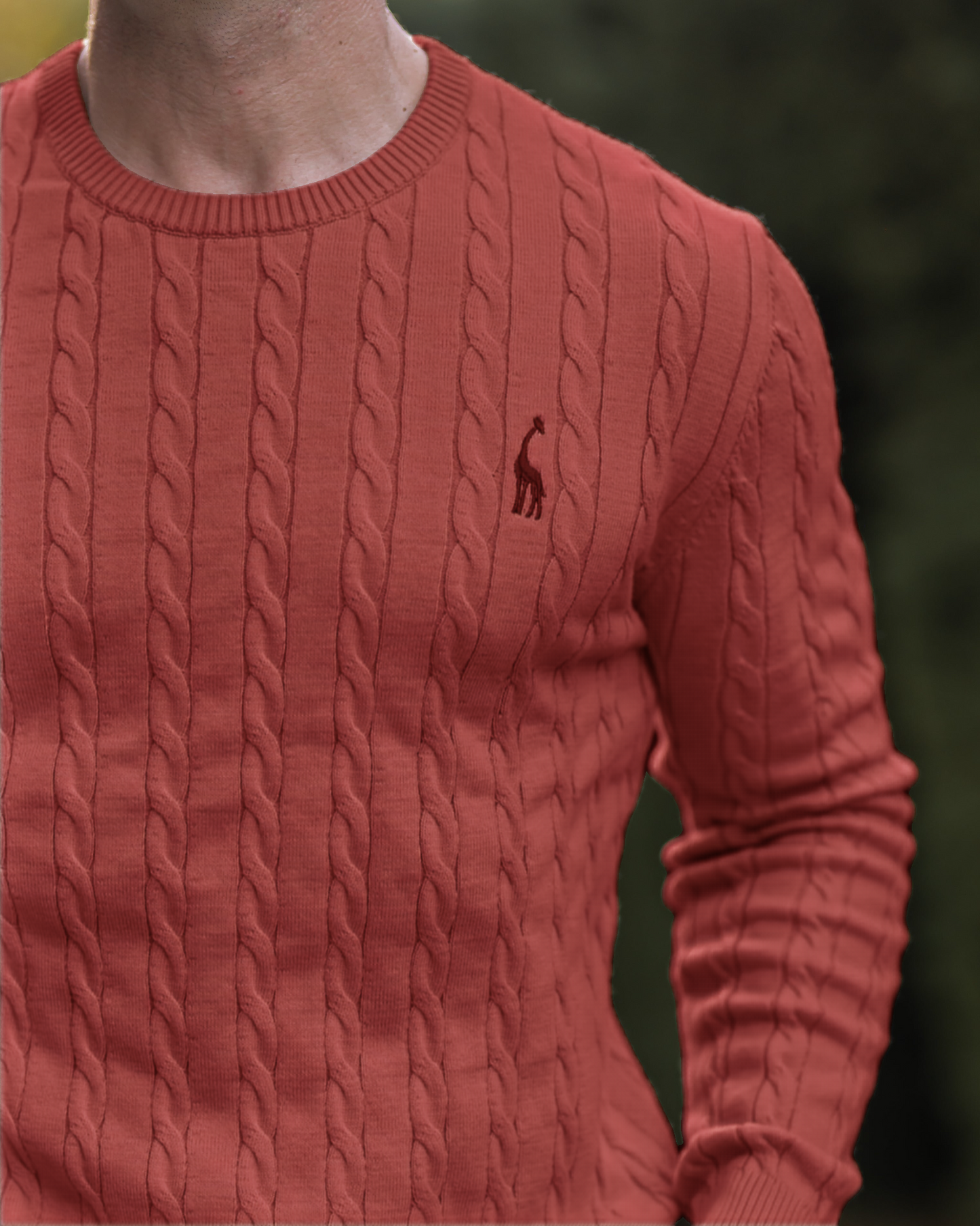 Pull en Coton à Câble pour Homme