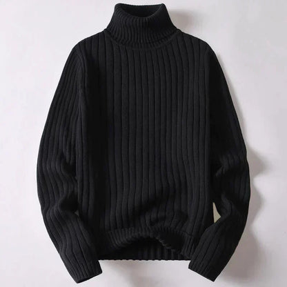 Pull Homme Marine à Col Roulé et Doux